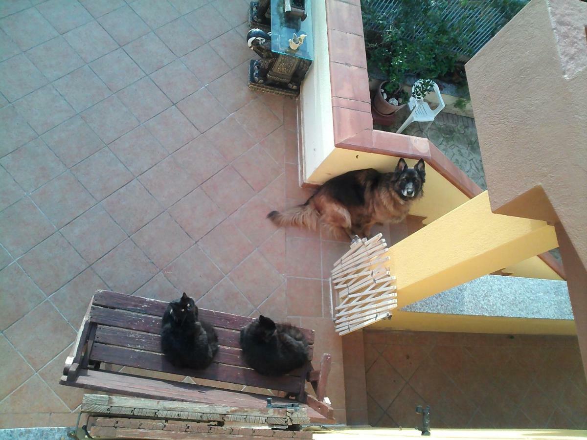 B&B Villa Sul Golfo Куарту-Сант'Элена Экстерьер фото